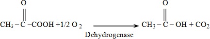 non oxidative decarboxylation